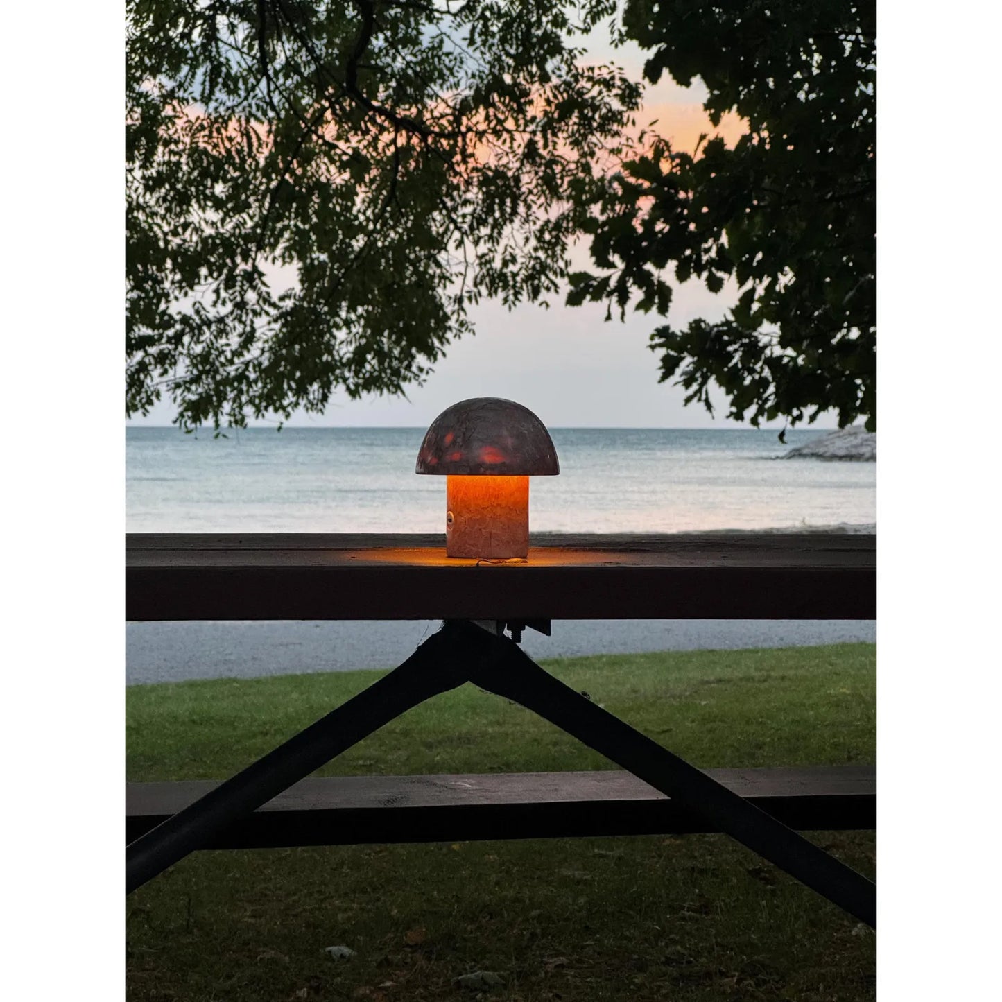red dragon onyx mushroom night light leo zodiac glowing in park