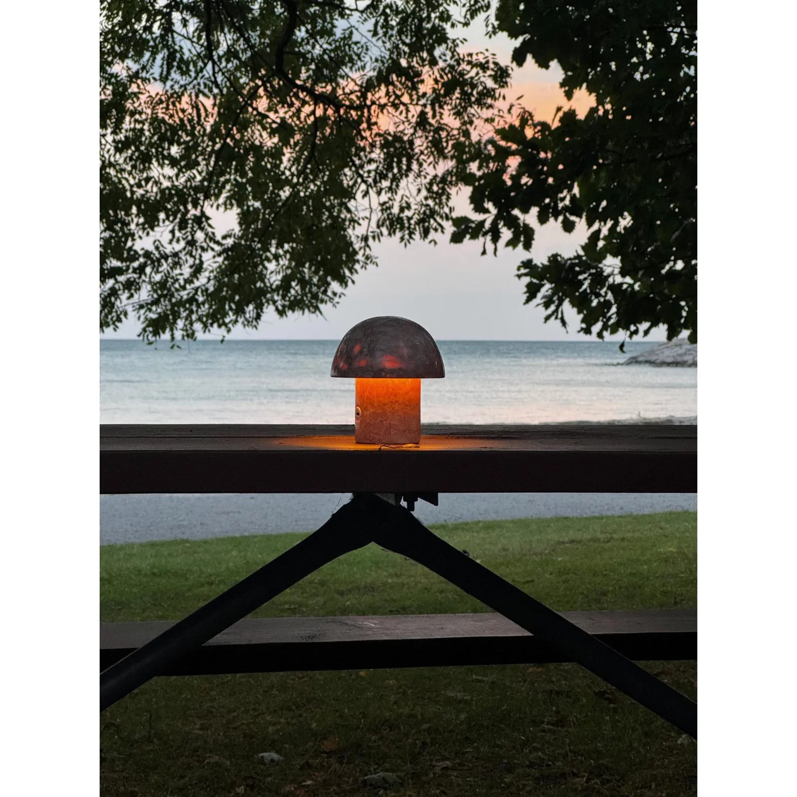 red dragon onyx mushroom night light leo zodiac glowing in park