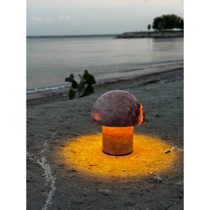 red dragon onyx mushroom night light leo zodiac glowing on a beach