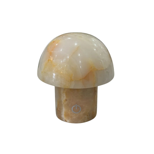 tiger jade mushroom night light taurus zodiac lamp_Cover