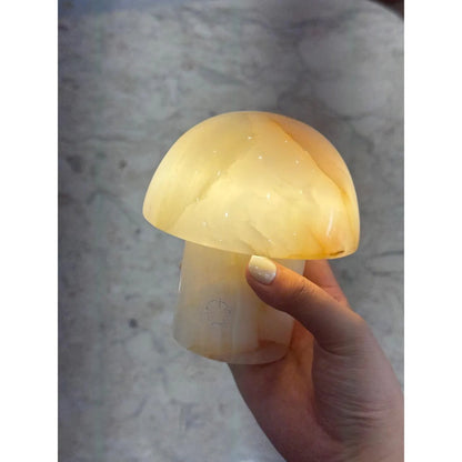 tiger jade mushroom night light taurus zodiac lamp_Hand