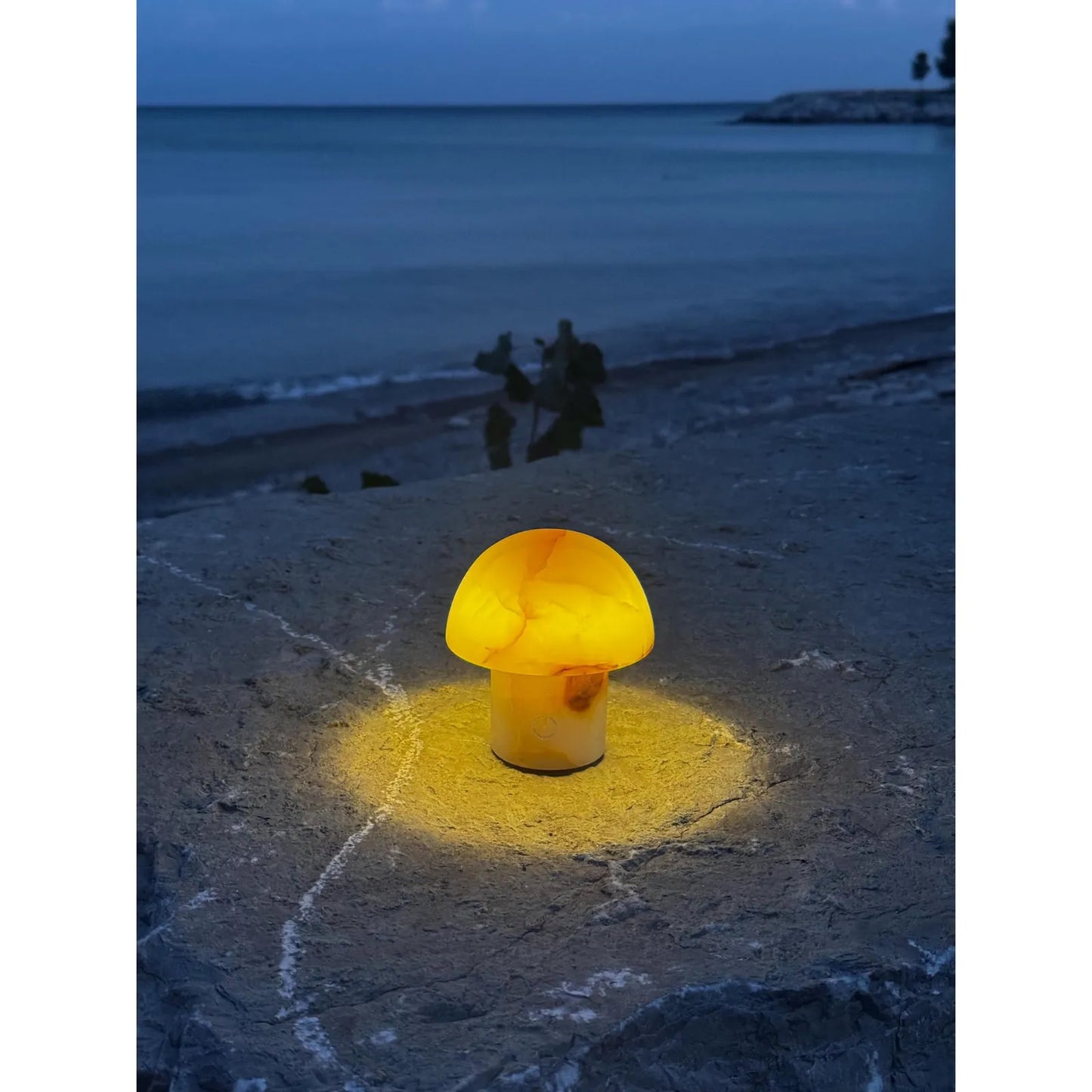 tiger jade mushroom night light taurus zodiac lamp_on the beach