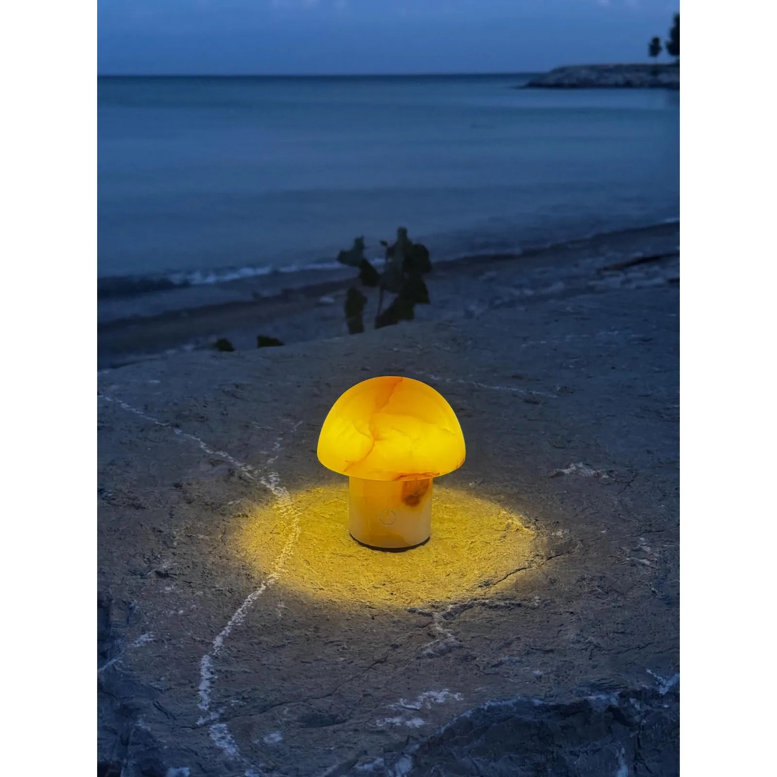 tiger jade mushroom night light taurus zodiac lamp_on the beach